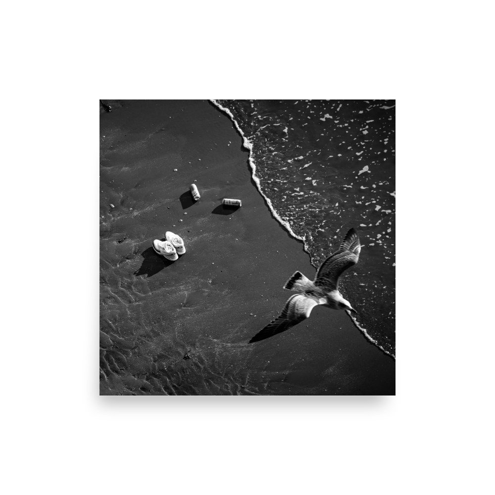 premium-luster-photo-paper-poster-(in)-10x10-front-675a1faa433cc.jpg