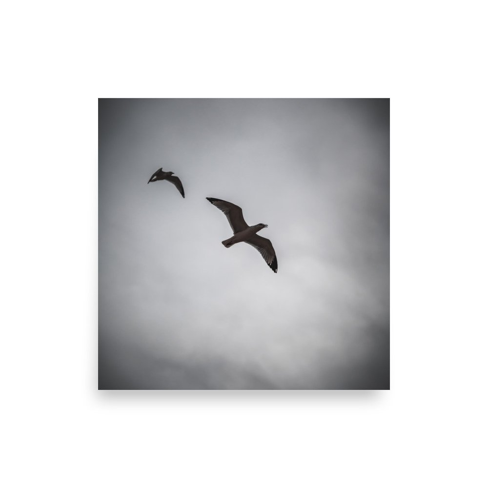 premium-luster-photo-paper-poster-(in)-18x18-front-675a20d451c2a.jpg
