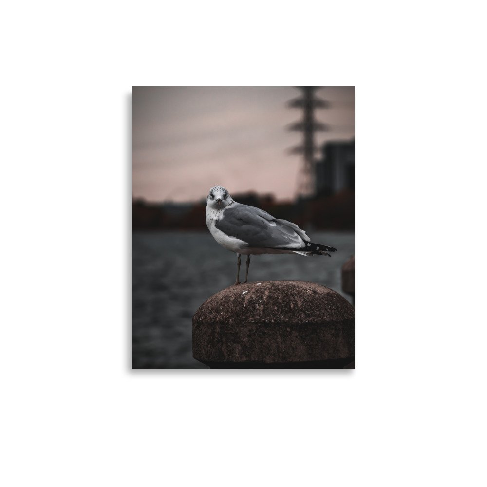 premium-luster-photo-paper-poster-(in)-11x14-front-675a21e0d3d24.jpg