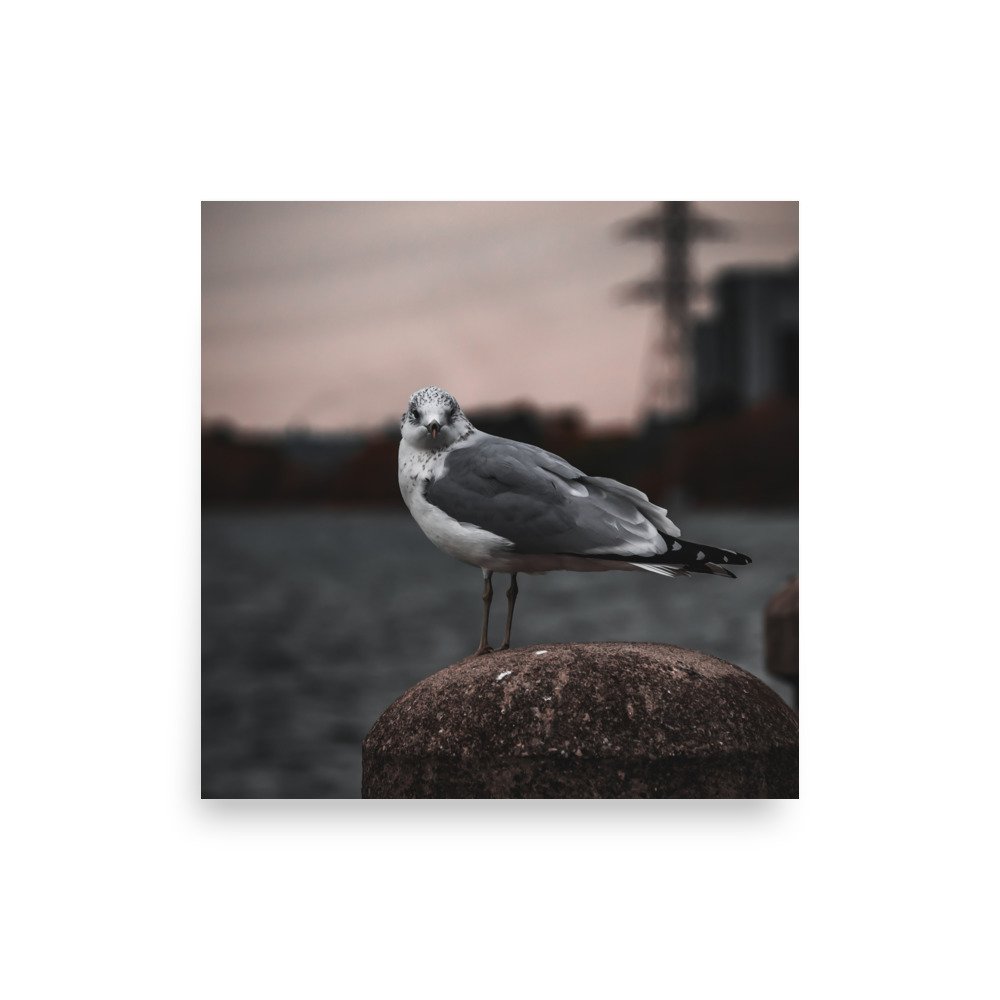 premium-luster-photo-paper-poster-(in)-12x12-front-675a21e0d3dbb.jpg