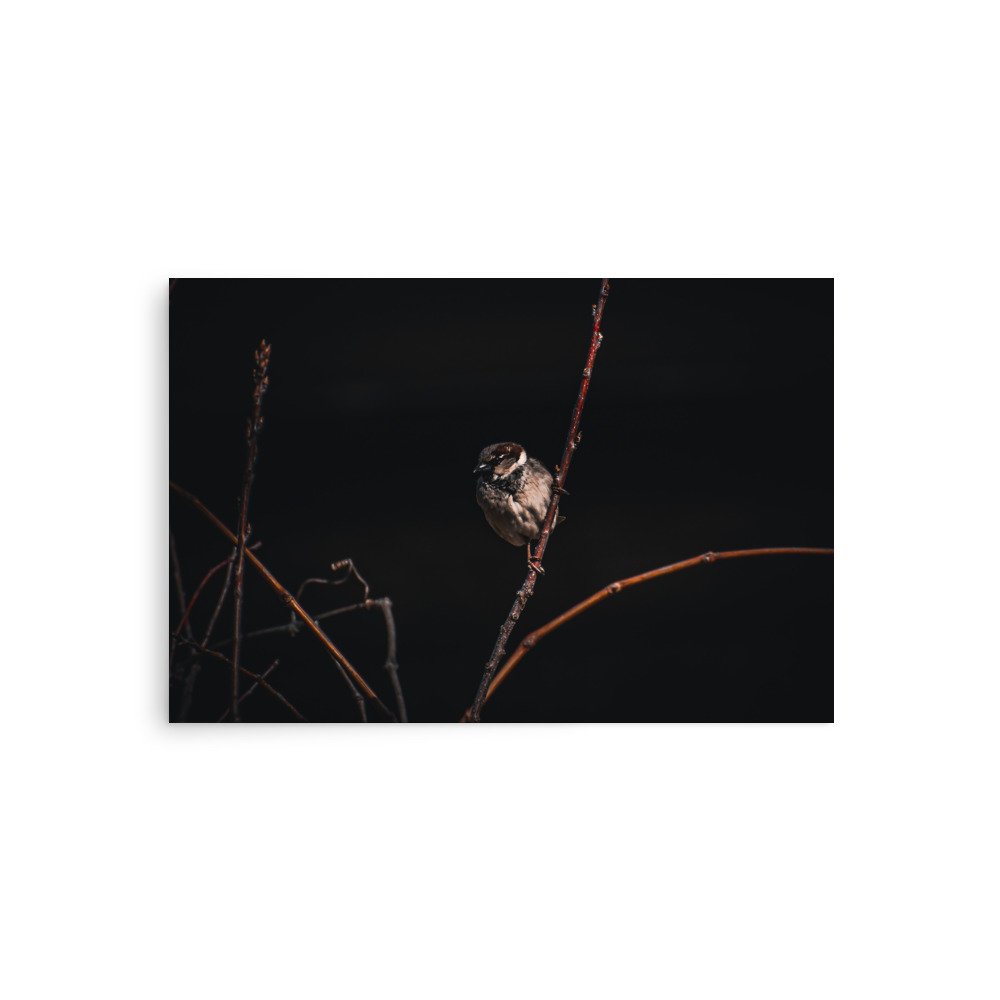 premium-luster-photo-paper-poster-(in)-20x30-front-675a23974524f.jpg