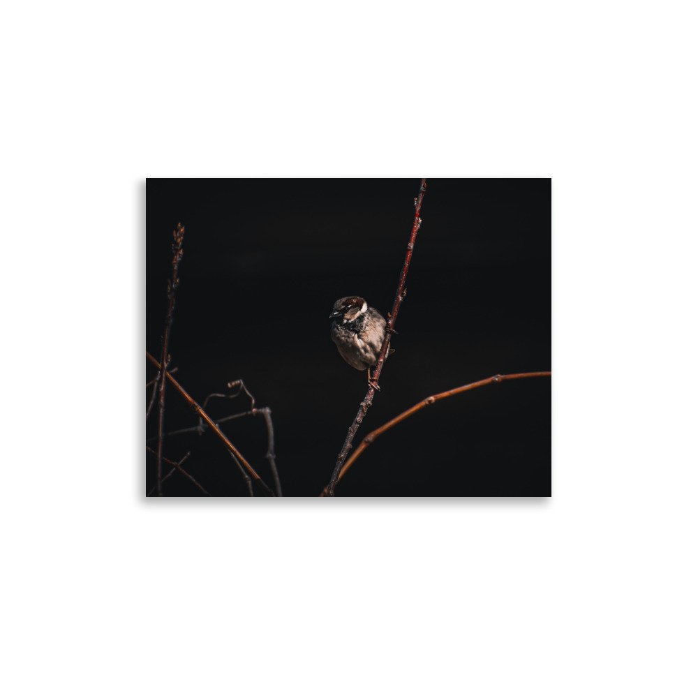 premium-luster-photo-paper-poster-(in)-11x14-front-675a239745cbf.jpg