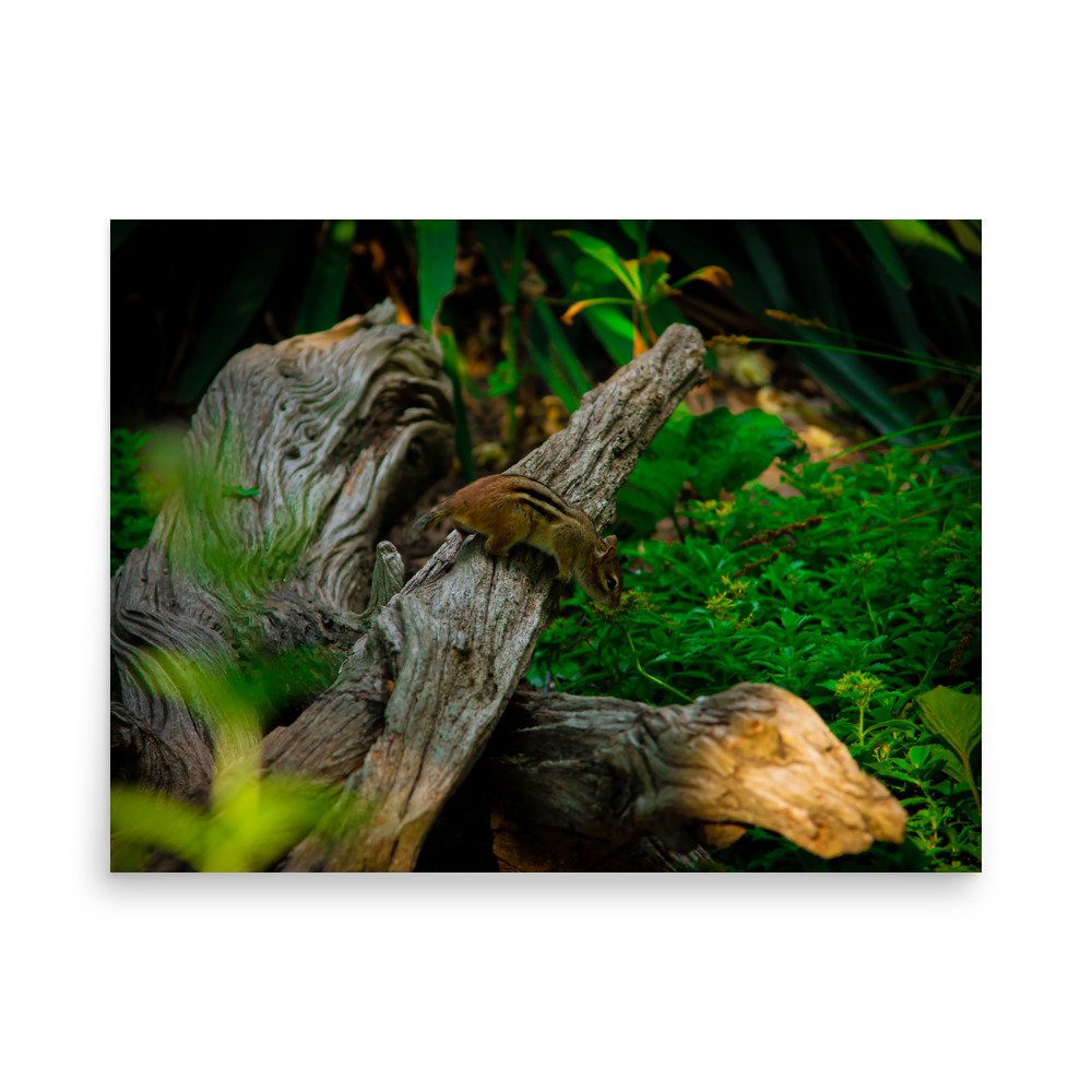 premium-luster-photo-paper-poster-(in)-18x24-front-675a2d531b632.jpg