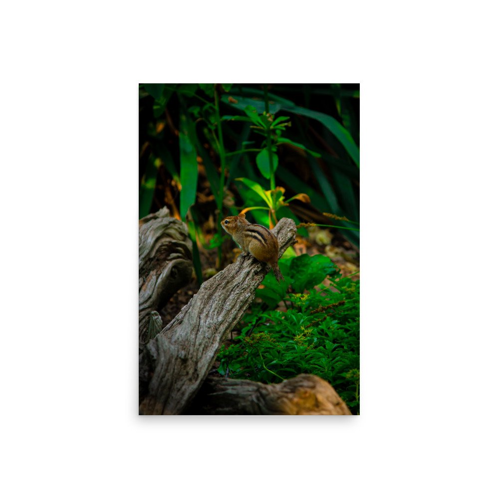 premium-luster-photo-paper-poster-(in)-20x30-front-675a2e81d16fb.jpg