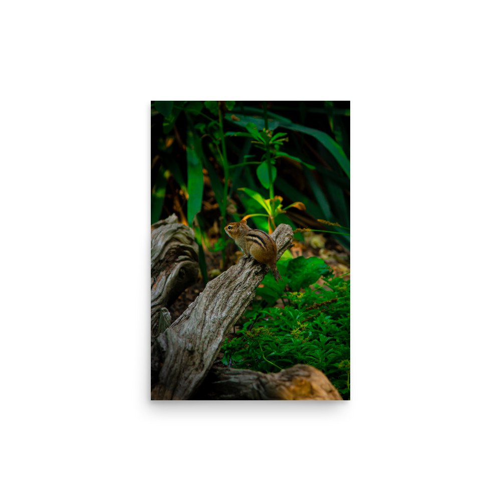 premium-luster-photo-paper-poster-(in)-12x18-front-675a2e81d2447.jpg