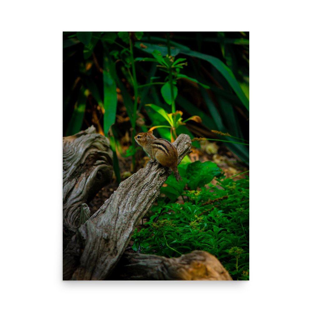 premium-luster-photo-paper-poster-(in)-18x24-front-675a2e81d274d.jpg