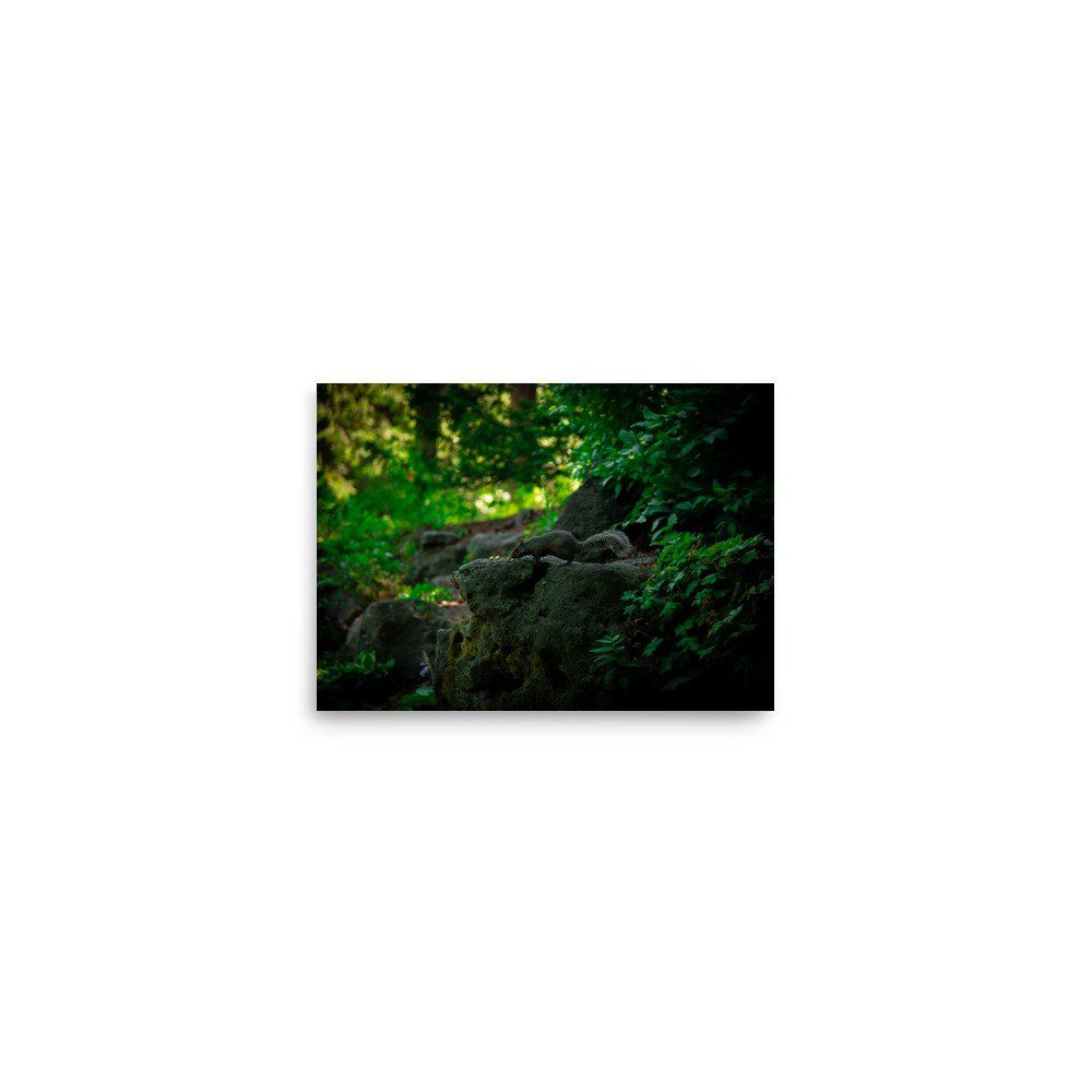 premium-luster-photo-paper-poster-(in)-5x7-front-675a2f69391d7.jpg