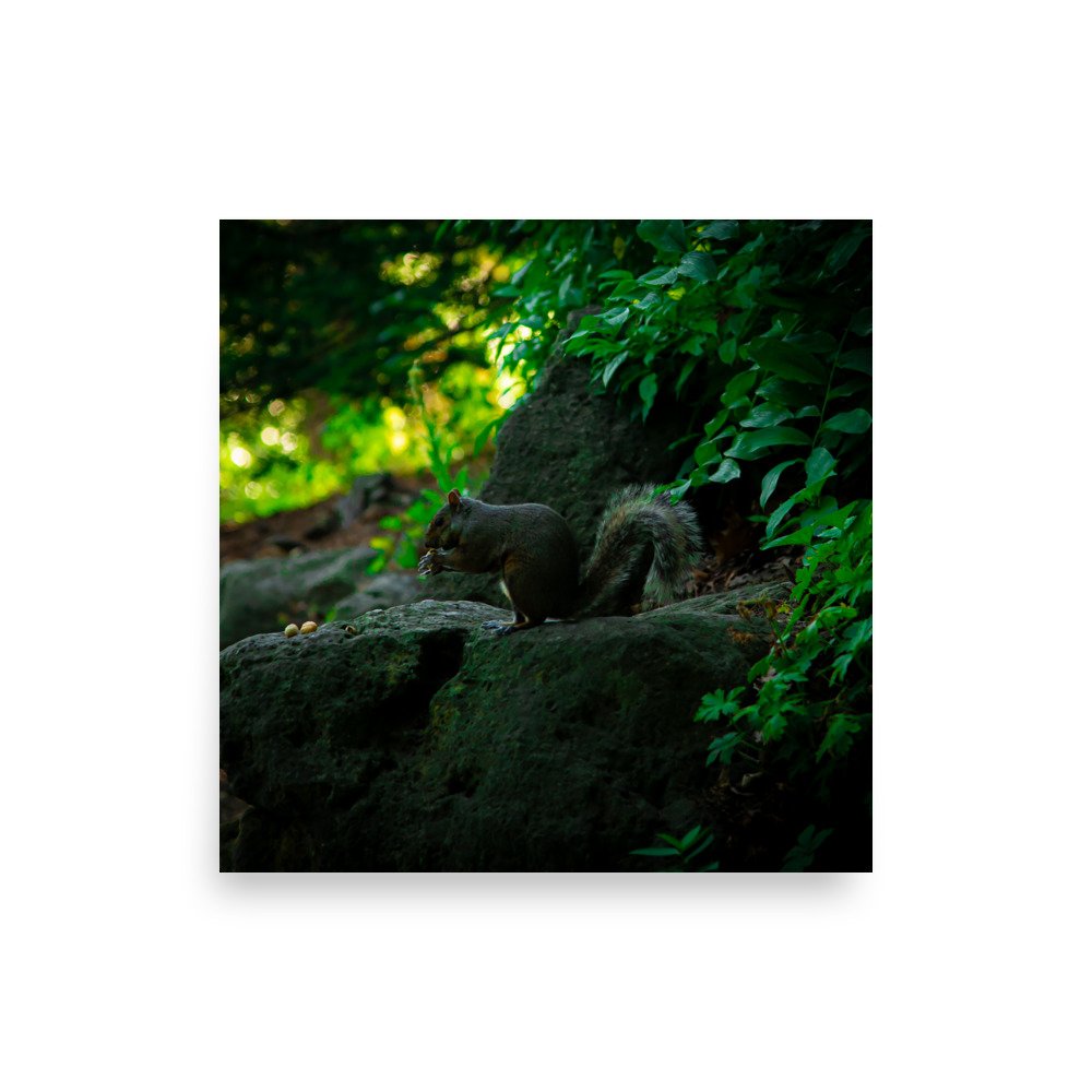 premium-luster-photo-paper-poster-(in)-10x10-front-675a30b5343fb.jpg