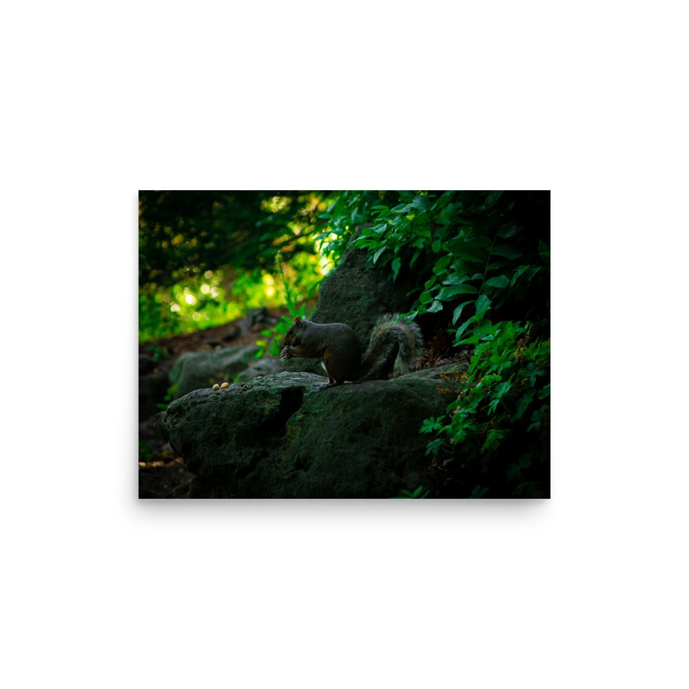 premium-luster-photo-paper-poster-(in)-12x16-front-675a30b534648.jpg