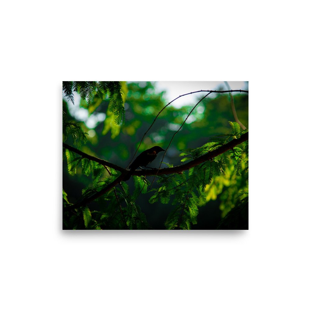 premium-luster-photo-paper-poster-(in)-8x10-front-675a31c235c6c.jpg