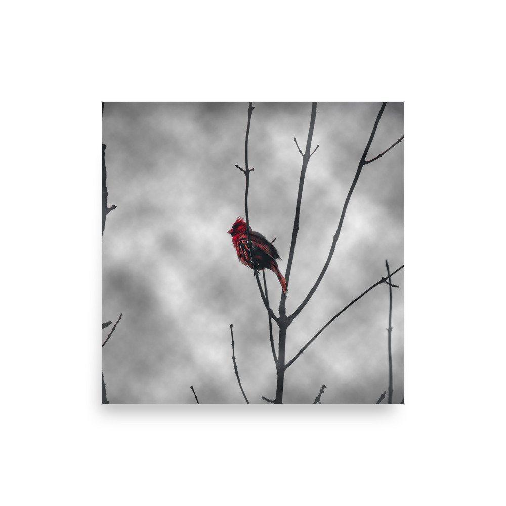 premium-luster-photo-paper-poster-(in)-14x14-front-675a36635f0de.jpg