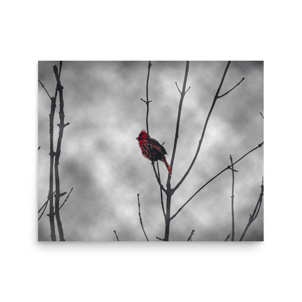 premium-luster-photo-paper-poster-(in)-16x20-front-675a36635f228.jpg