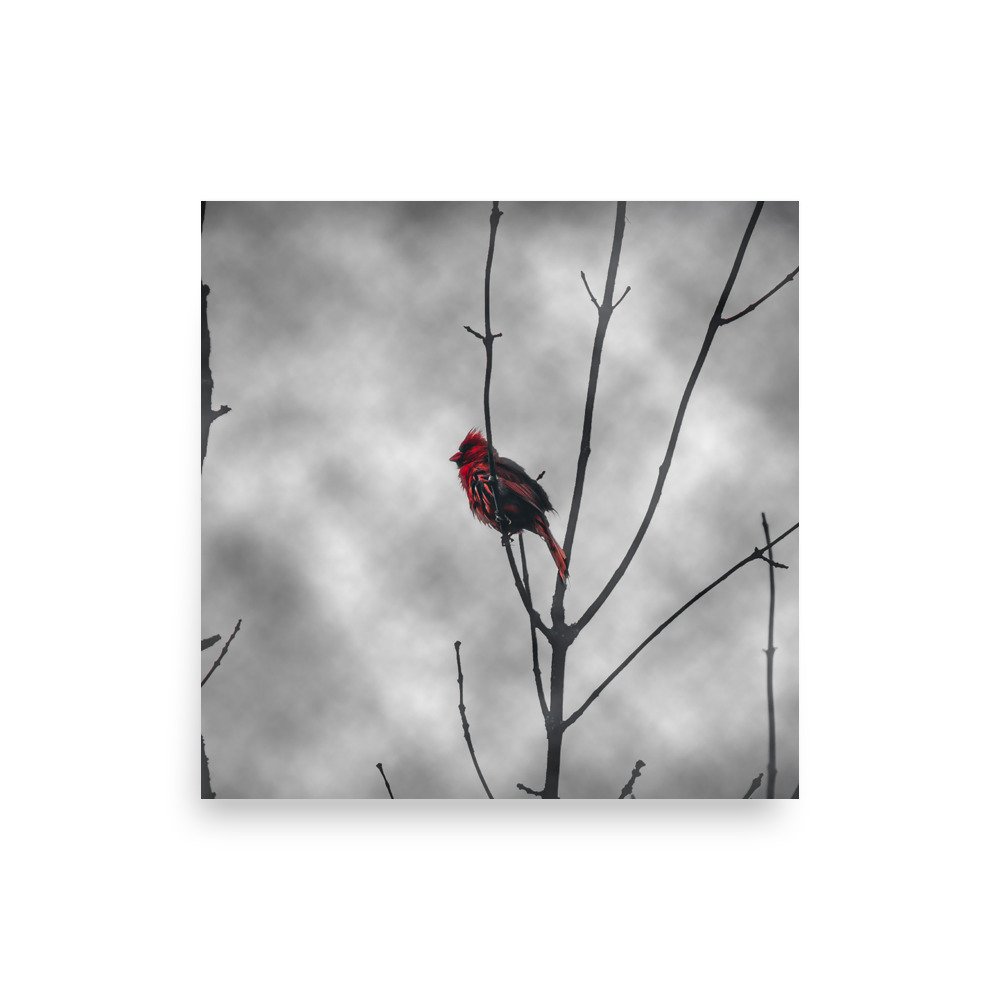 premium-luster-photo-paper-poster-(in)-18x18-front-675a36635f2ce.jpg