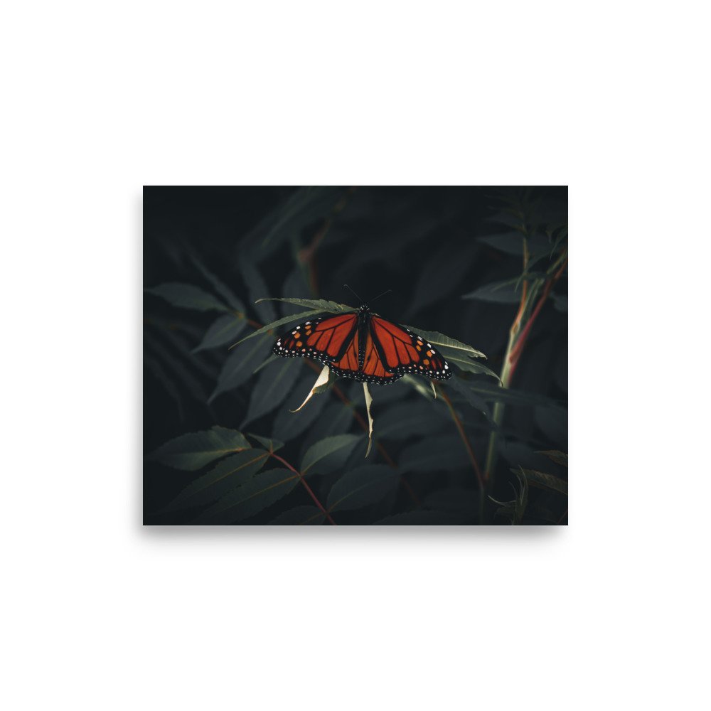 premium-luster-photo-paper-poster-(in)-8x10-front-675a37a531fc6.jpg