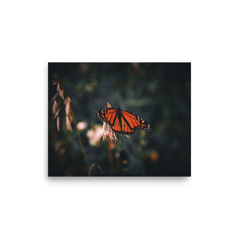 premium-luster-photo-paper-poster-(in)-8x10-front-675a46c1d7ff5.jpg