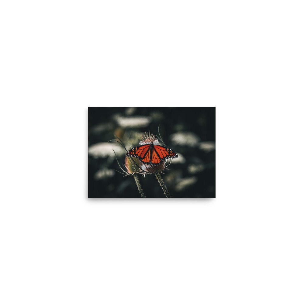 premium-luster-photo-paper-poster-(in)-5x7-front-675a4872725d0.jpg