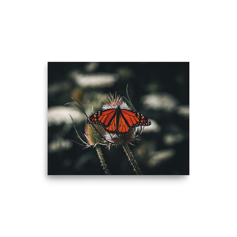 premium-luster-photo-paper-poster-(in)-8x10-front-675a487272db7.jpg