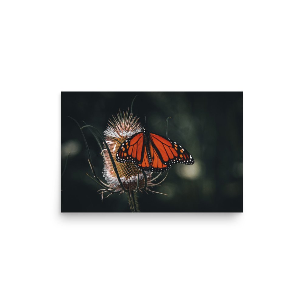 premium-luster-photo-paper-poster-(in)-12x18-front-675a49a677de2.jpg