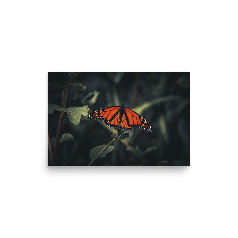 premium-luster-photo-paper-poster-(in)-12x18-front-675a4d9f2c9ac.jpg