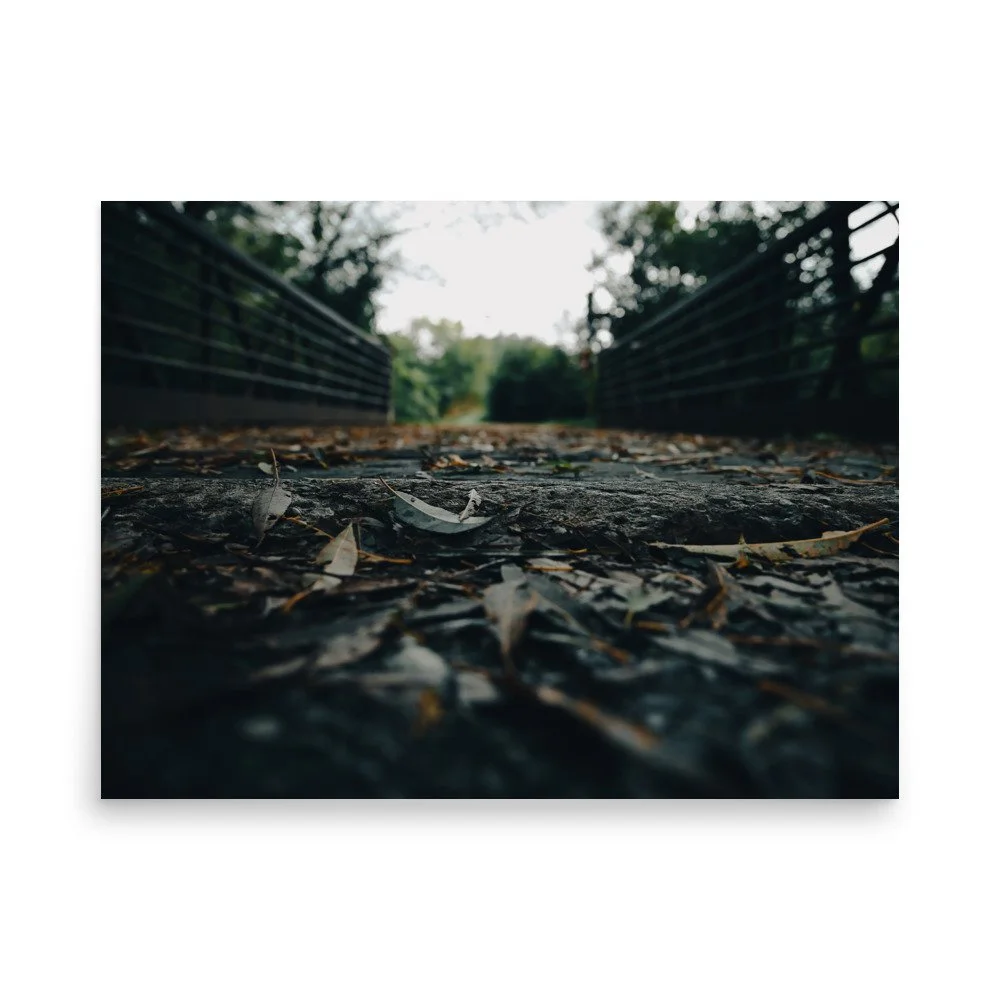 premium-luster-photo-paper-poster-(in)-18x24-front-676063e1c5cd1.jpg