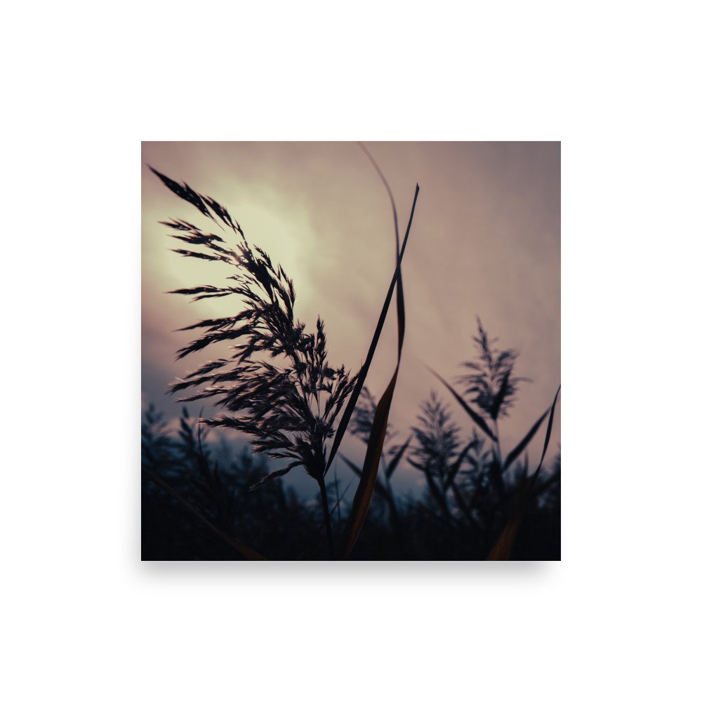 premium-luster-photo-paper-poster-(in)-10x10-front-67607e5b980d5.jpg
