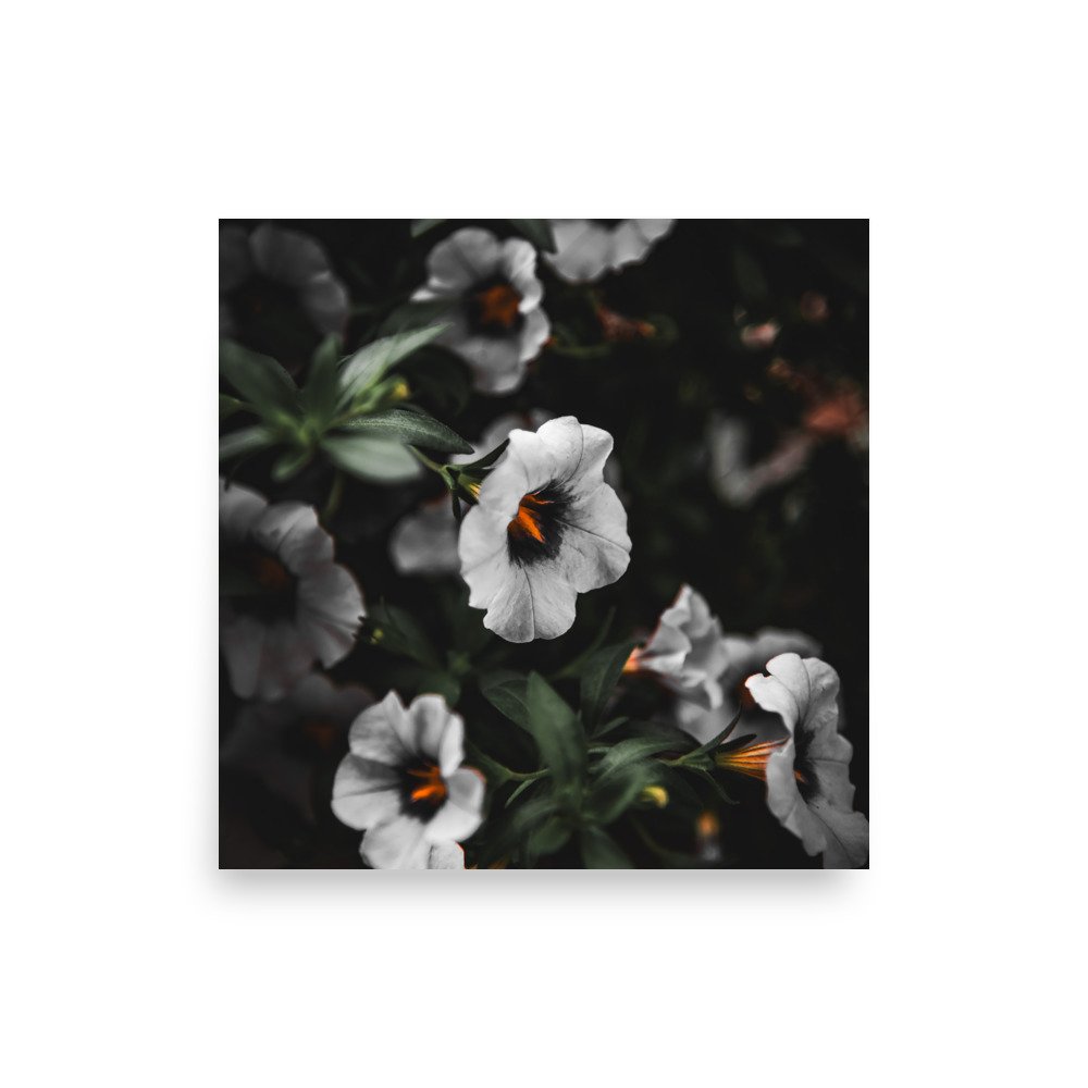 premium-luster-photo-paper-poster-(in)-14x14-front-67608113e9ef1.jpg