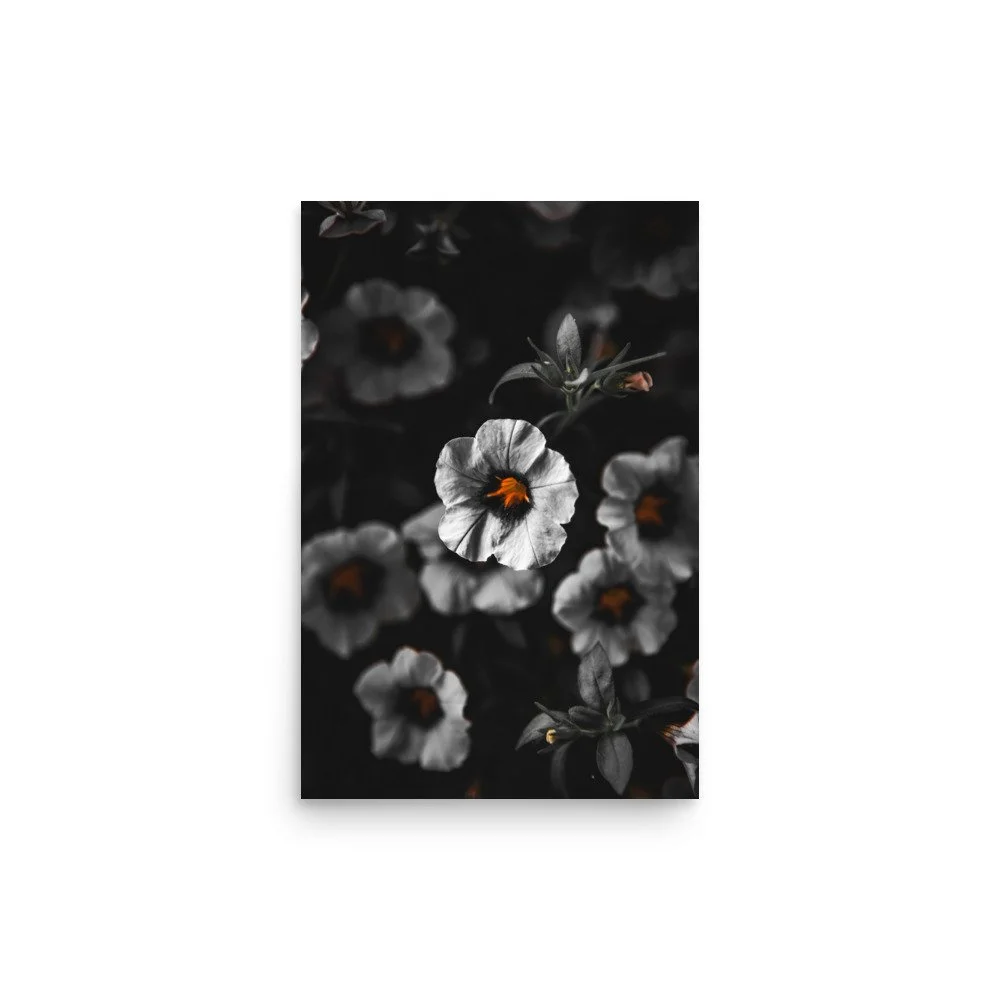 premium-luster-photo-paper-poster-(in)-12x18-front-676082bb61bfe.jpg