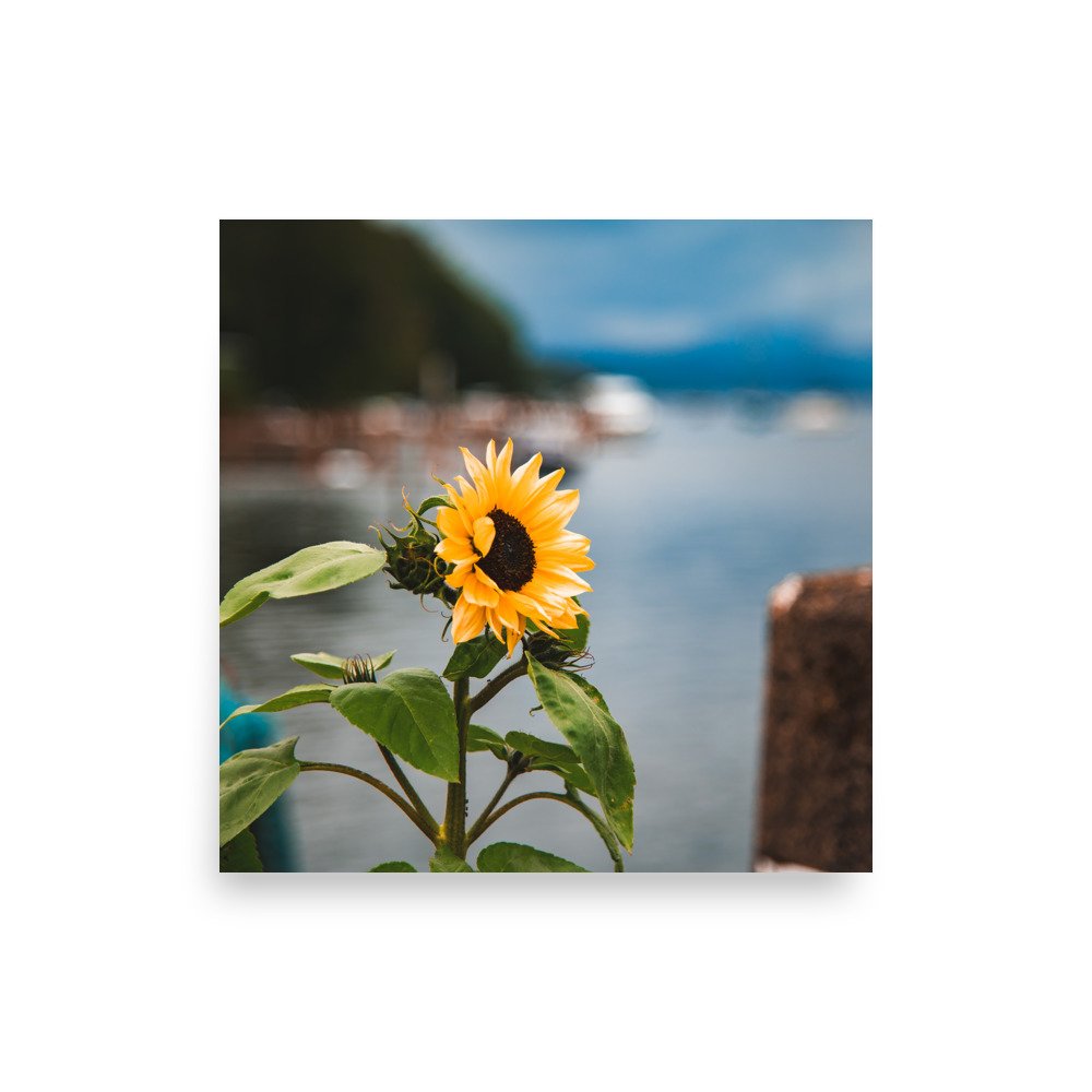 premium-luster-photo-paper-poster-(in)-10x10-front-6760865f7d4ba.jpg