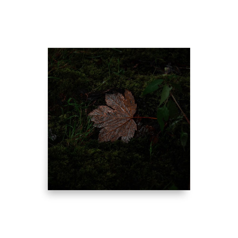 premium-luster-photo-paper-poster-(in)-10x10-front-67608f21e8863.jpg