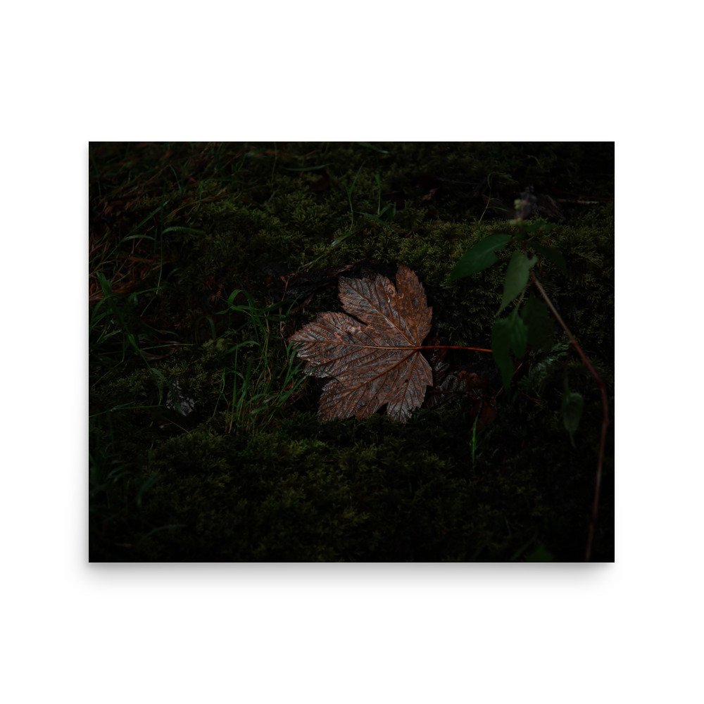 premium-luster-photo-paper-poster-(in)-16x20-front-67608f21e8d27.jpg