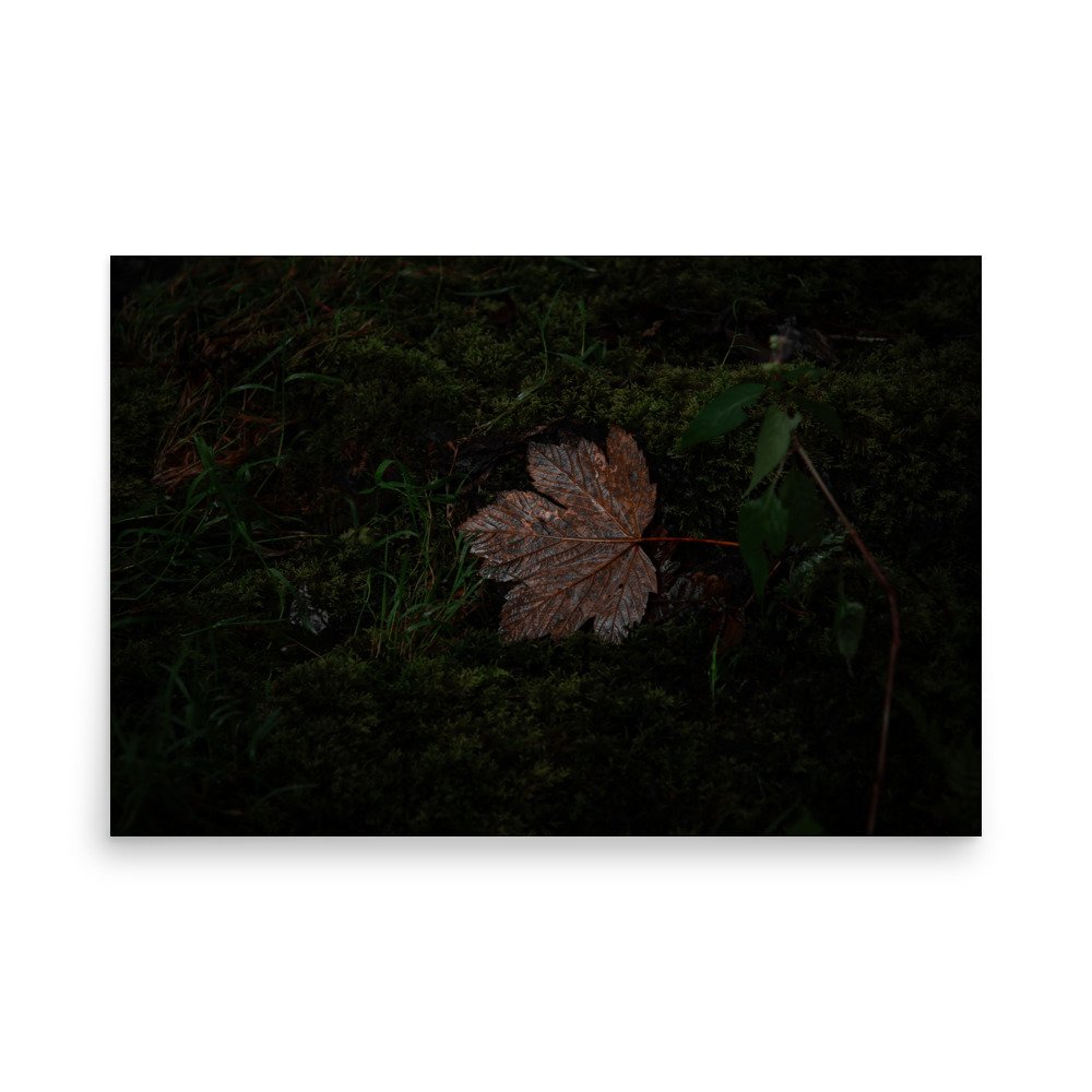 premium-luster-photo-paper-poster-(in)-24x36-front-67608f21e8f16.jpg