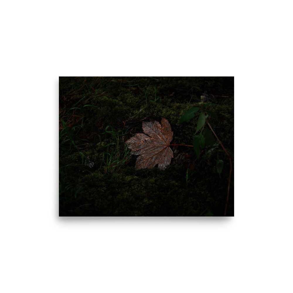premium-luster-photo-paper-poster-(in)-8x10-front-67608f21e8fba.jpg