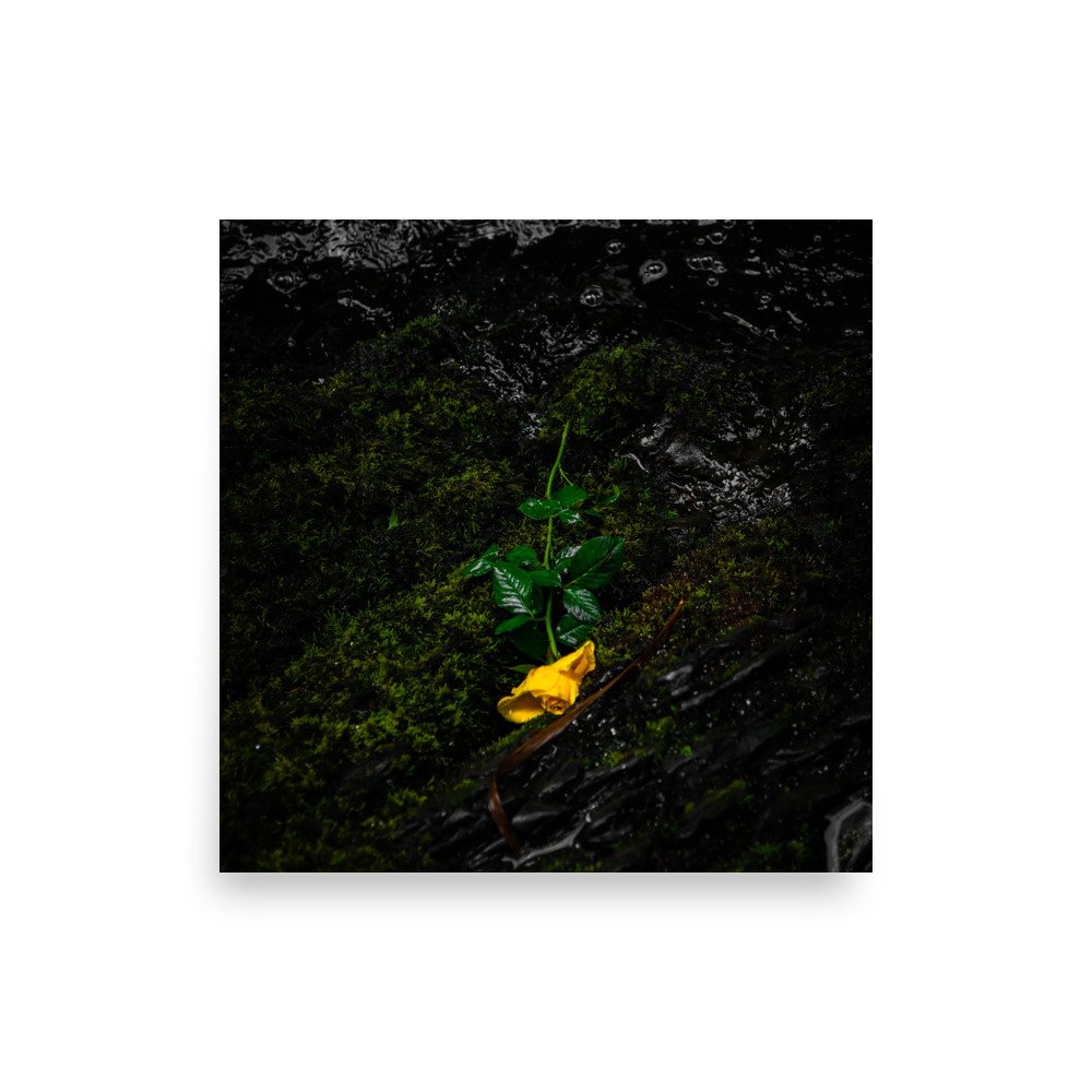 premium-luster-photo-paper-poster-(in)-16x16-front-6760902ee33e4.jpg