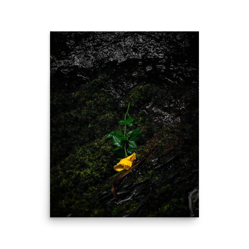 premium-luster-photo-paper-poster-(in)-16x20-front-6760902ee349a.jpg