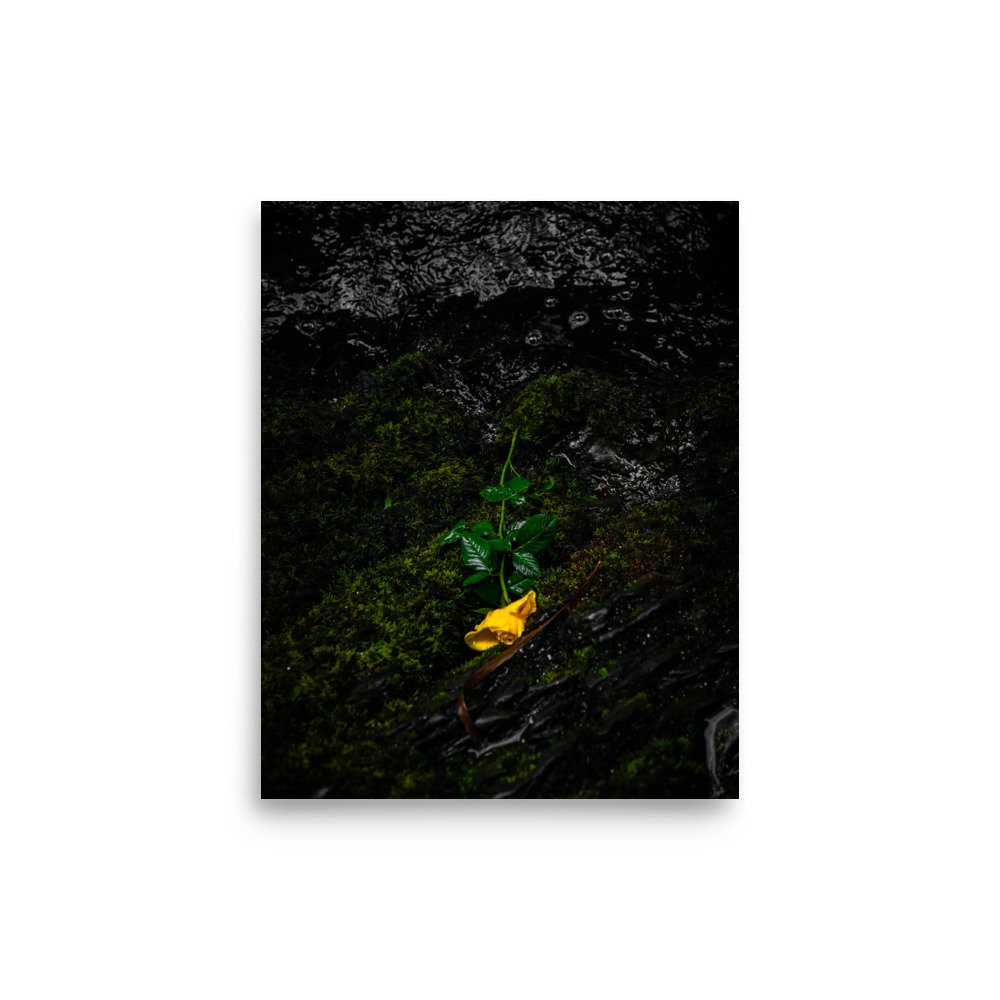 premium-luster-photo-paper-poster-(in)-8x10-front-6760902ee3753.jpg