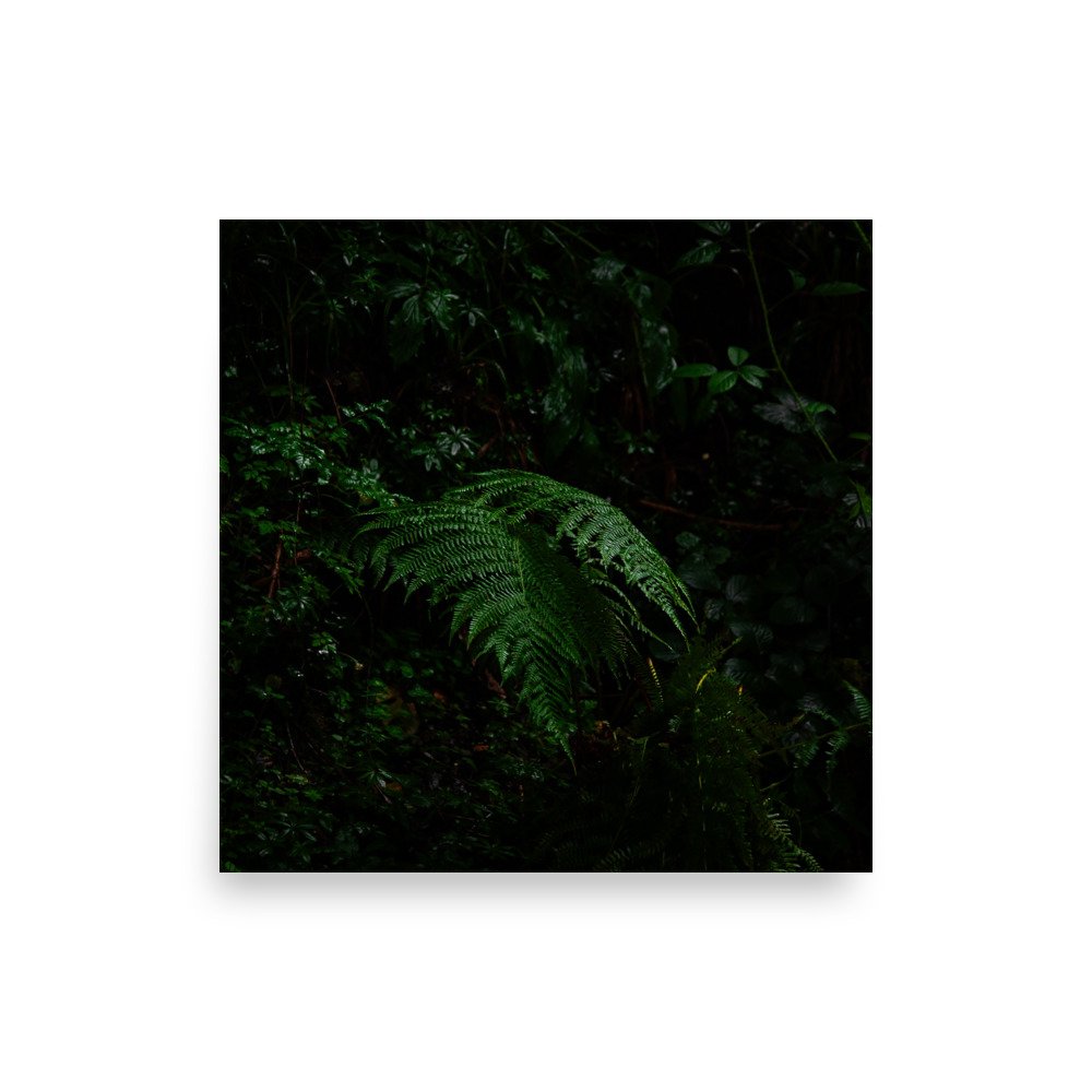premium-luster-photo-paper-poster-(in)-10x10-front-67609123bbab2.jpg