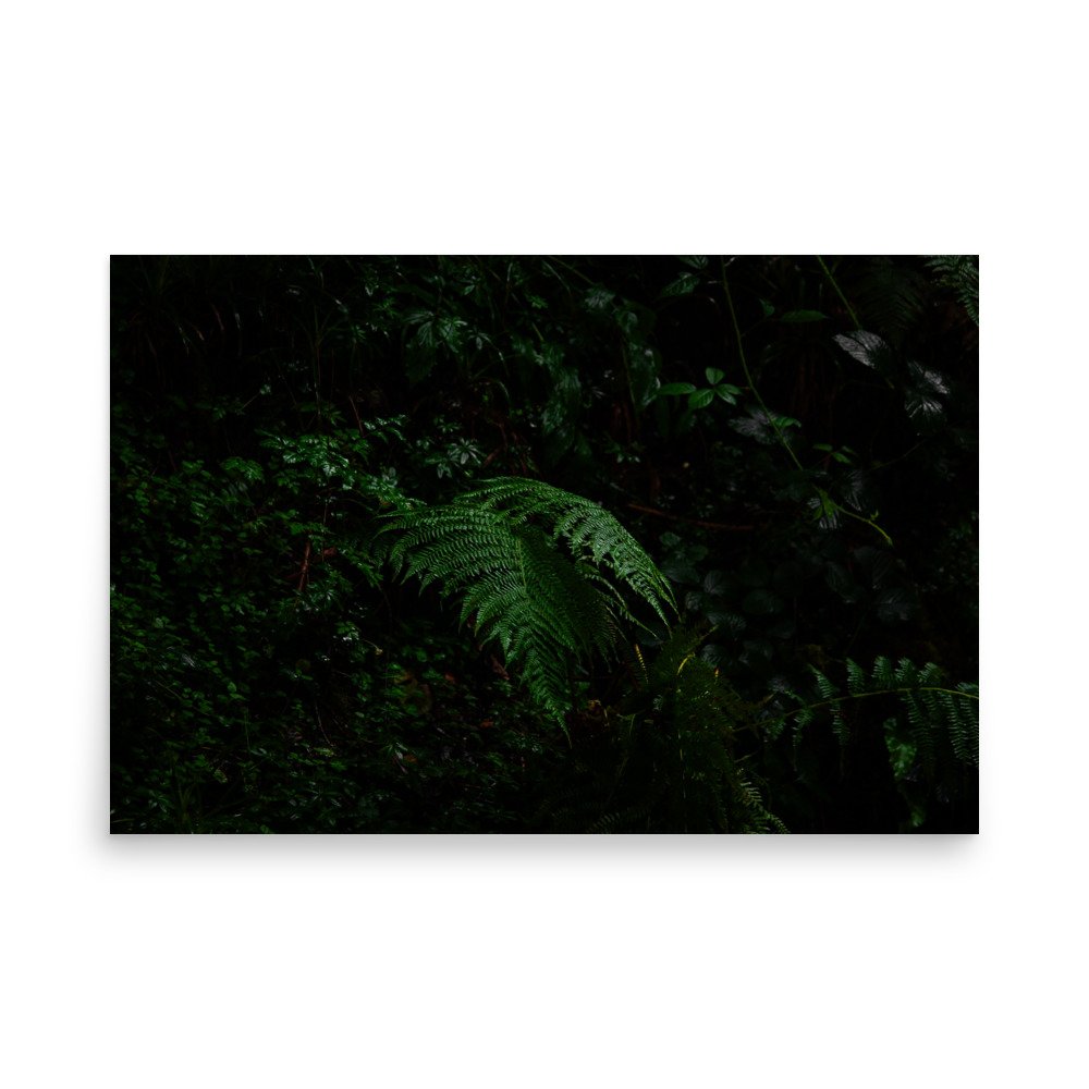premium-luster-photo-paper-poster-(in)-24x36-front-67609123bc0e0.jpg