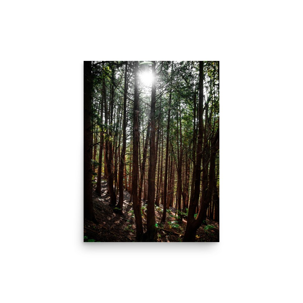 premium-luster-photo-paper-poster-(in)-12x16-front-67609865a4044.jpg