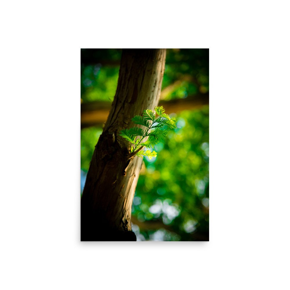 premium-luster-photo-paper-poster-(in)-20x30-front-67609e7d8a5dc.jpg