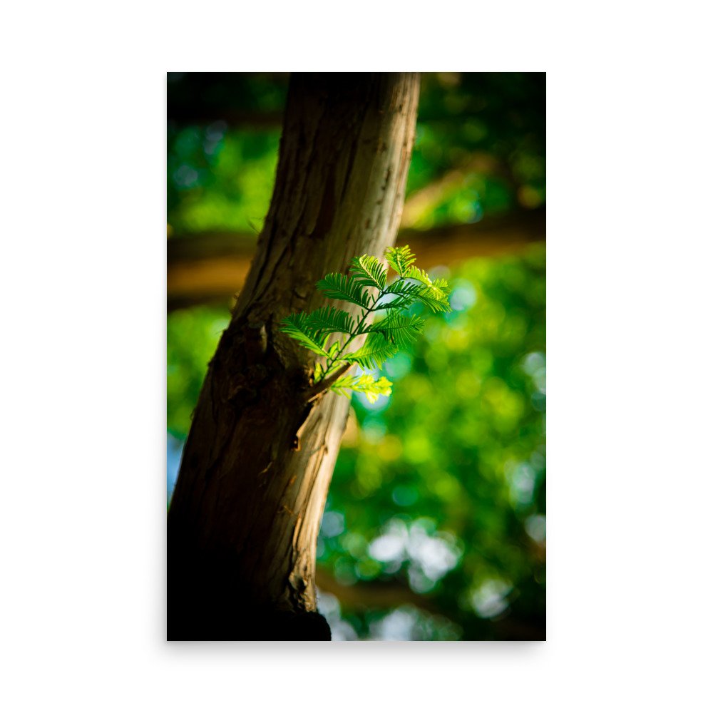 premium-luster-photo-paper-poster-(in)-24x36-front-67609e7d8bcc6.jpg