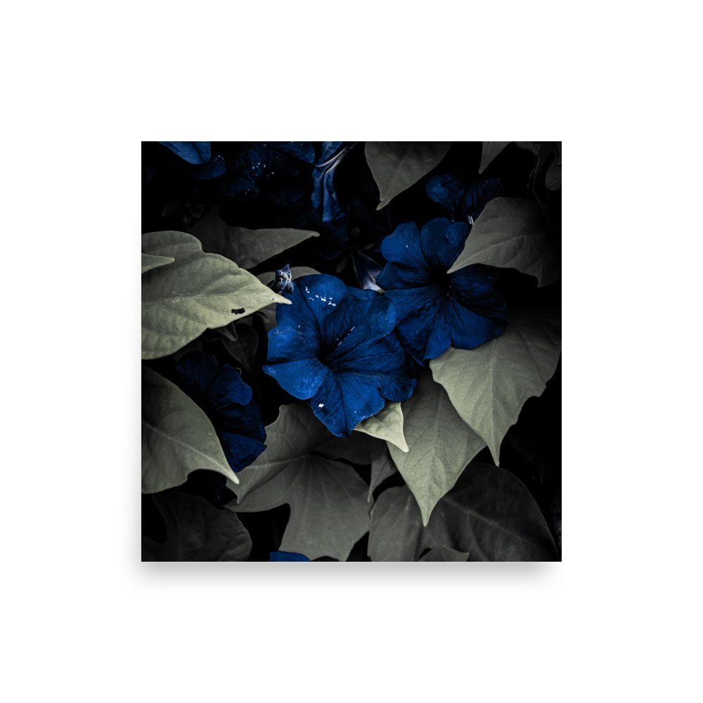 premium-luster-photo-paper-poster-(in)-18x18-front-67609f6012aeb.jpg