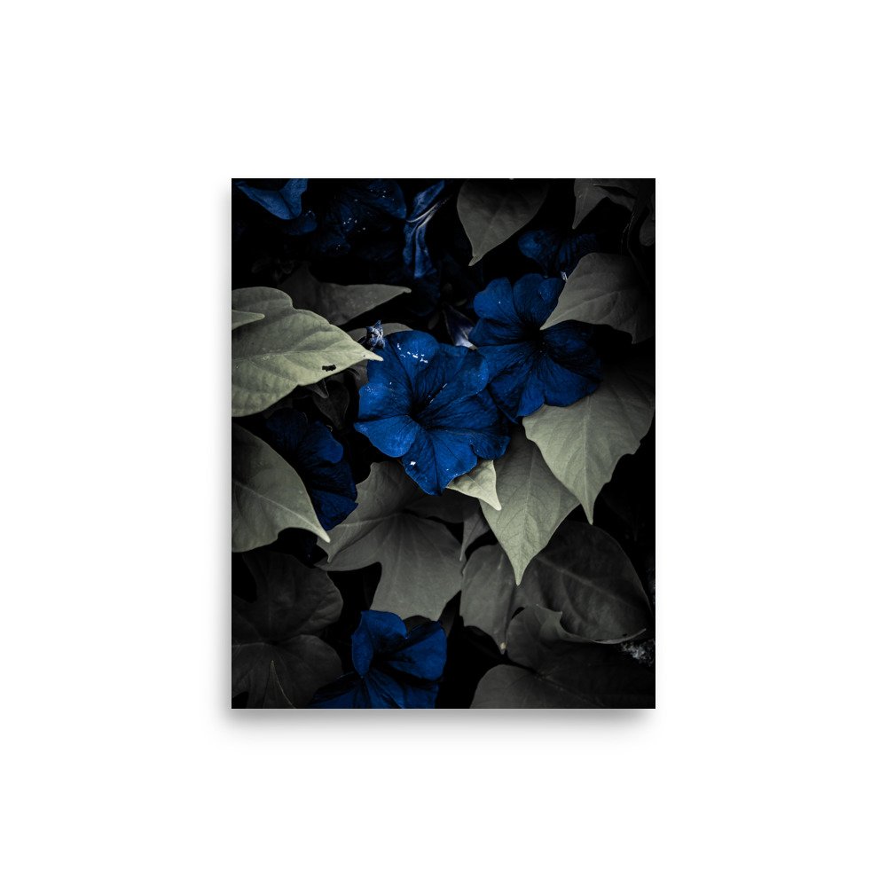 premium-luster-photo-paper-poster-(in)-8x10-front-67609f6012ced.jpg