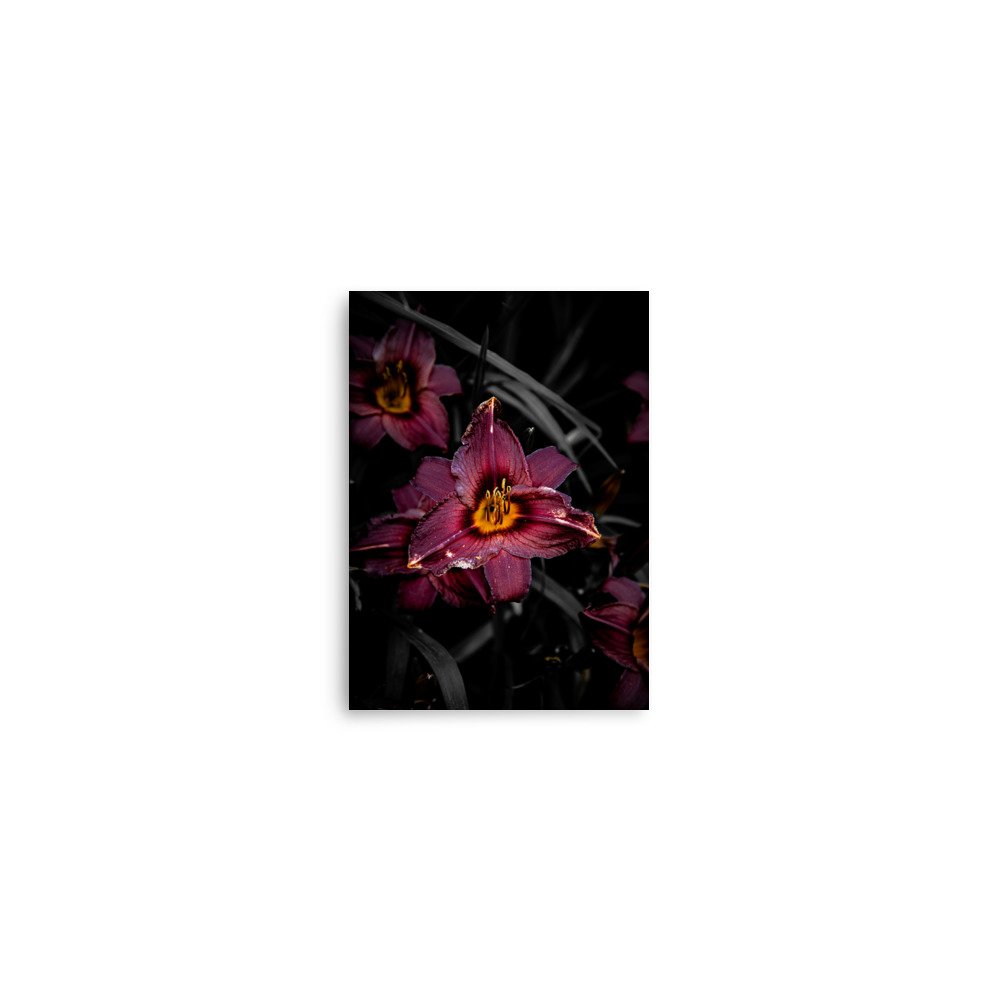 premium-luster-photo-paper-poster-(in)-5x7-front-6760a0571ed56.jpg