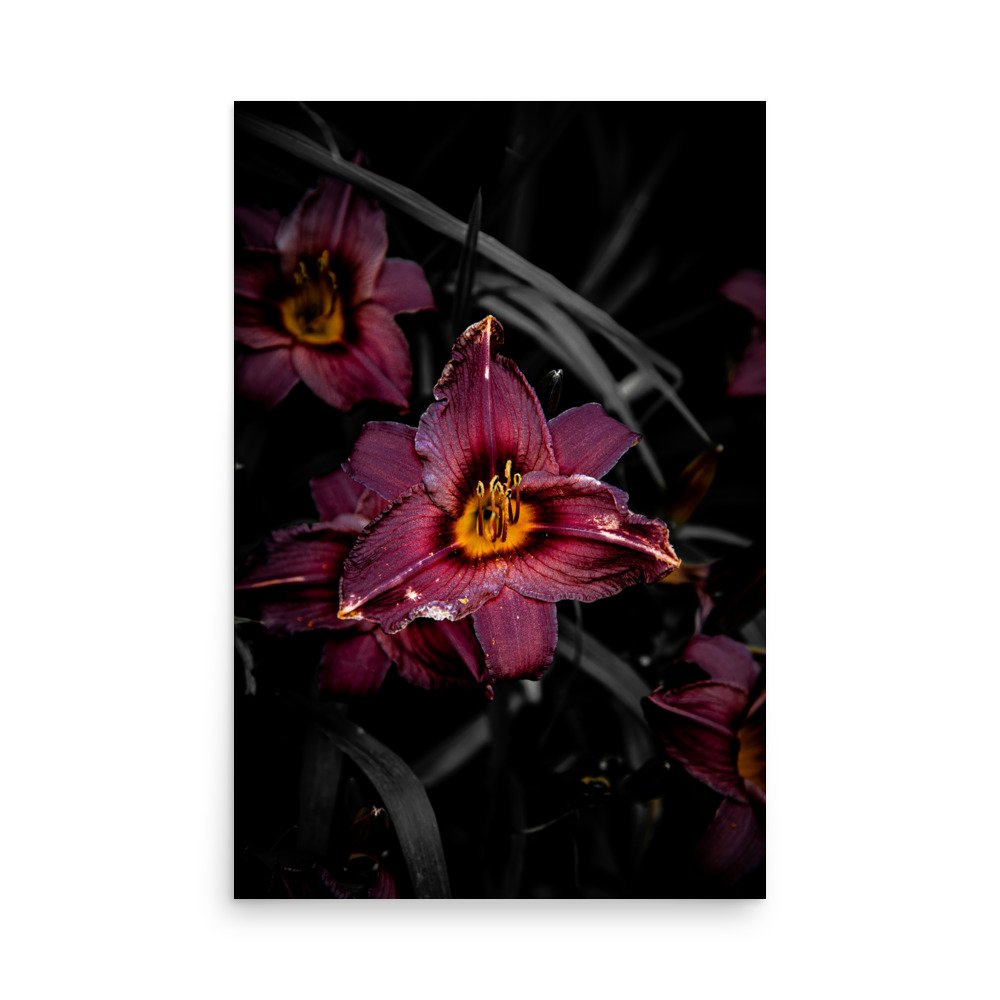 premium-luster-photo-paper-poster-(in)-24x36-front-6760a0571f70f.jpg