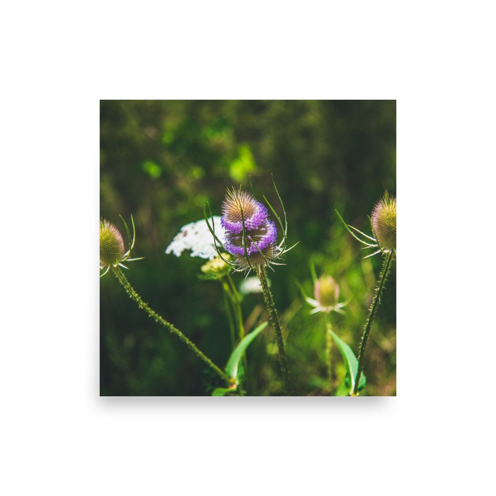 premium-luster-photo-paper-poster-(in)-10x10-front-6760a1180c557.jpg