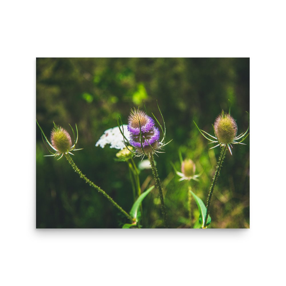 premium-luster-photo-paper-poster-(in)-16x20-front-6760a1180c99c.jpg