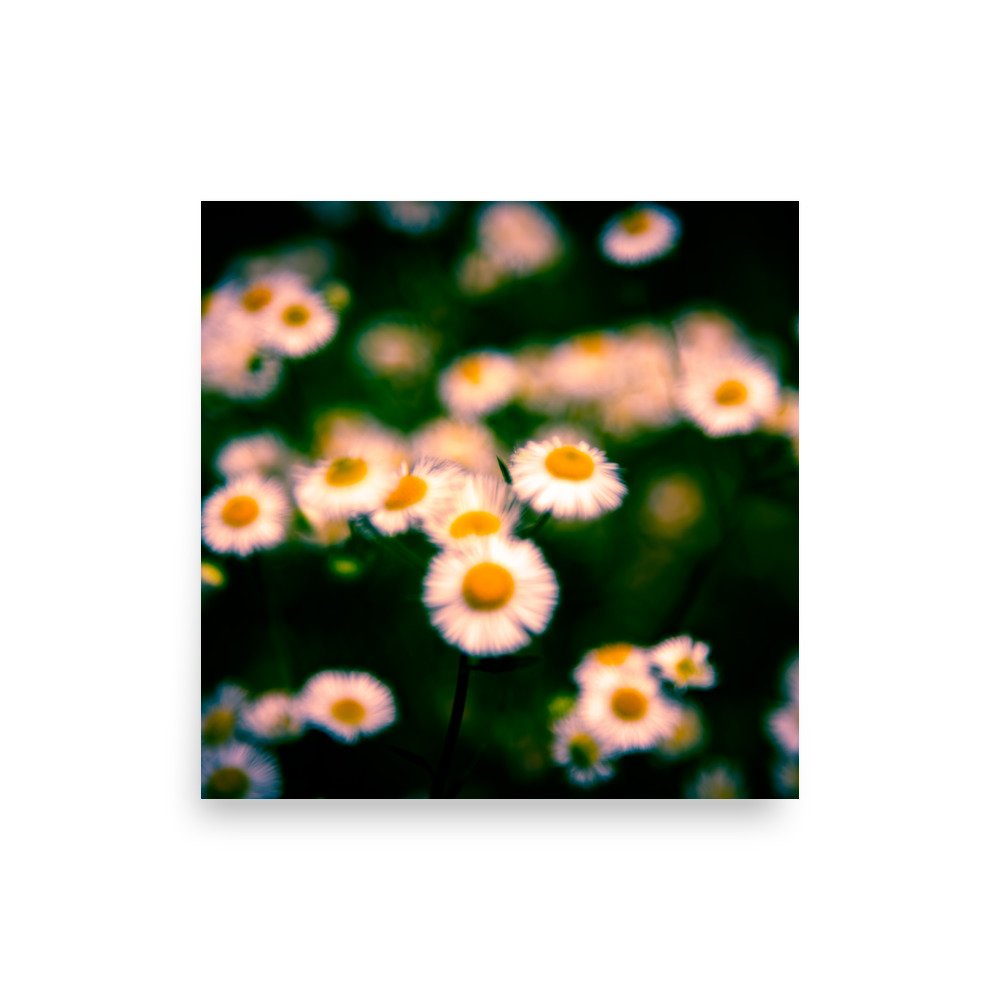 premium-luster-photo-paper-poster-(in)-10x10-front-6760a201d55a7.jpg