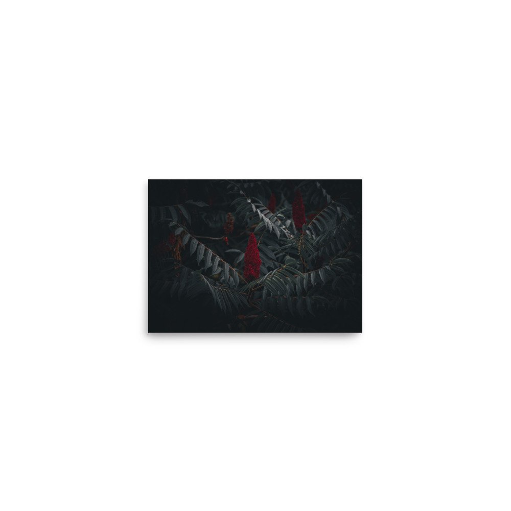 premium-luster-photo-paper-poster-(in)-5x7-front-6760a3e4430f3.jpg