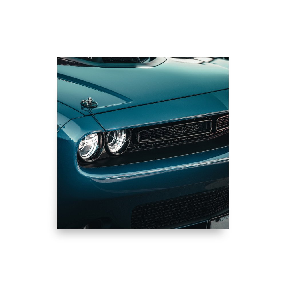 premium-luster-photo-paper-poster-(in)-10x10-front-6761d1abb7037.jpg