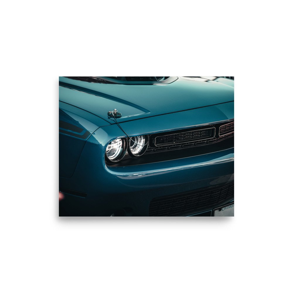 premium-luster-photo-paper-poster-(in)-8x10-front-6761d1abb7c76.jpg